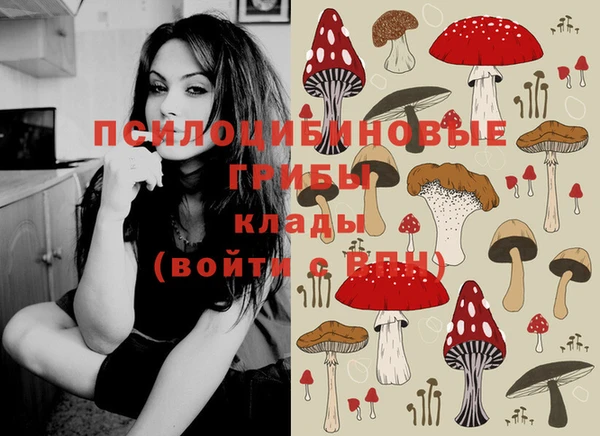 твердый Волоколамск