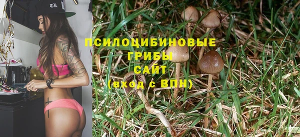 дмт Володарск