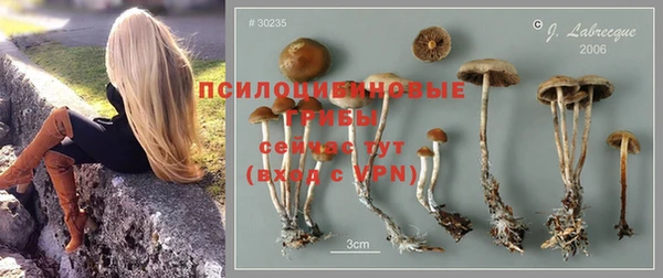 твердый Волоколамск